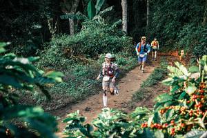 BIB: 
                            <button type="button" onclick="openModal(25820984)" class="btn btn-primary btn-sm float-right btn-popup" data-toggle="modal" data-target=".modal-high-quality">
                        <i class="fas fa-shopping-cart"></i> Add to Cart
                    </button>
                                            <button type="button" onclick="isThisMe(25820984, true)" class="btn btn-success btn-sm float-right btn-popup btn-isme hidden" data-toggle="tooltip" data-placement="bottom" title="นี่คือรูปของคุณใช่ไหม คลิกที่นี่เพื่อเอาเข้าอัลบั้ม">
                        <i class="fas fa-plus"></i> Add to album
                    </button>
                    <button type="button" onclick="isThisMe(25820984, false)" class="btn btn-warning btn-sm float-right btn-popup btn-isnotme hidden">
                        <i class="fas fa-ban"></i> Remove from album
                    </button>